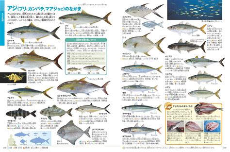 魚種類|魚類図鑑/分類検索